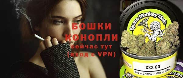 не бодяженный Корсаков
