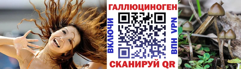 Псилоцибиновые грибы Cubensis  где купить наркотик  Оренбург 