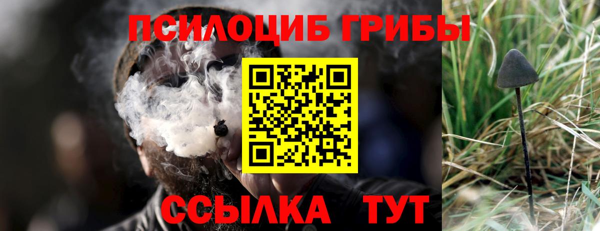 Галлюциногенные грибы прущие грибы  Вход с VPN  Оренбург  Псилоцибиновые грибы Psilocybe 