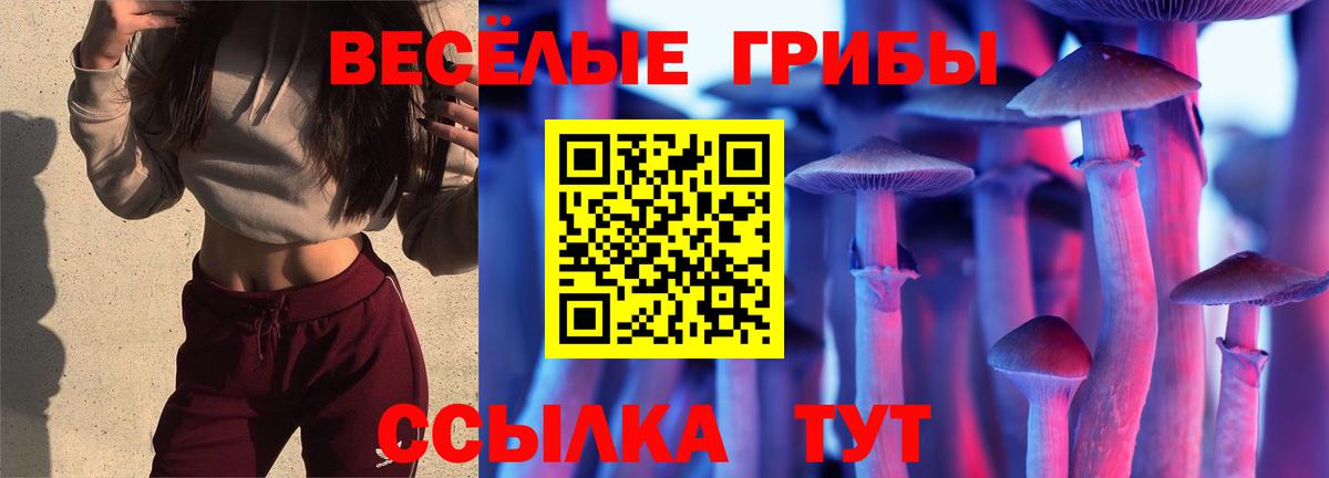 Галлюциногенные грибы мухоморы Оренбург